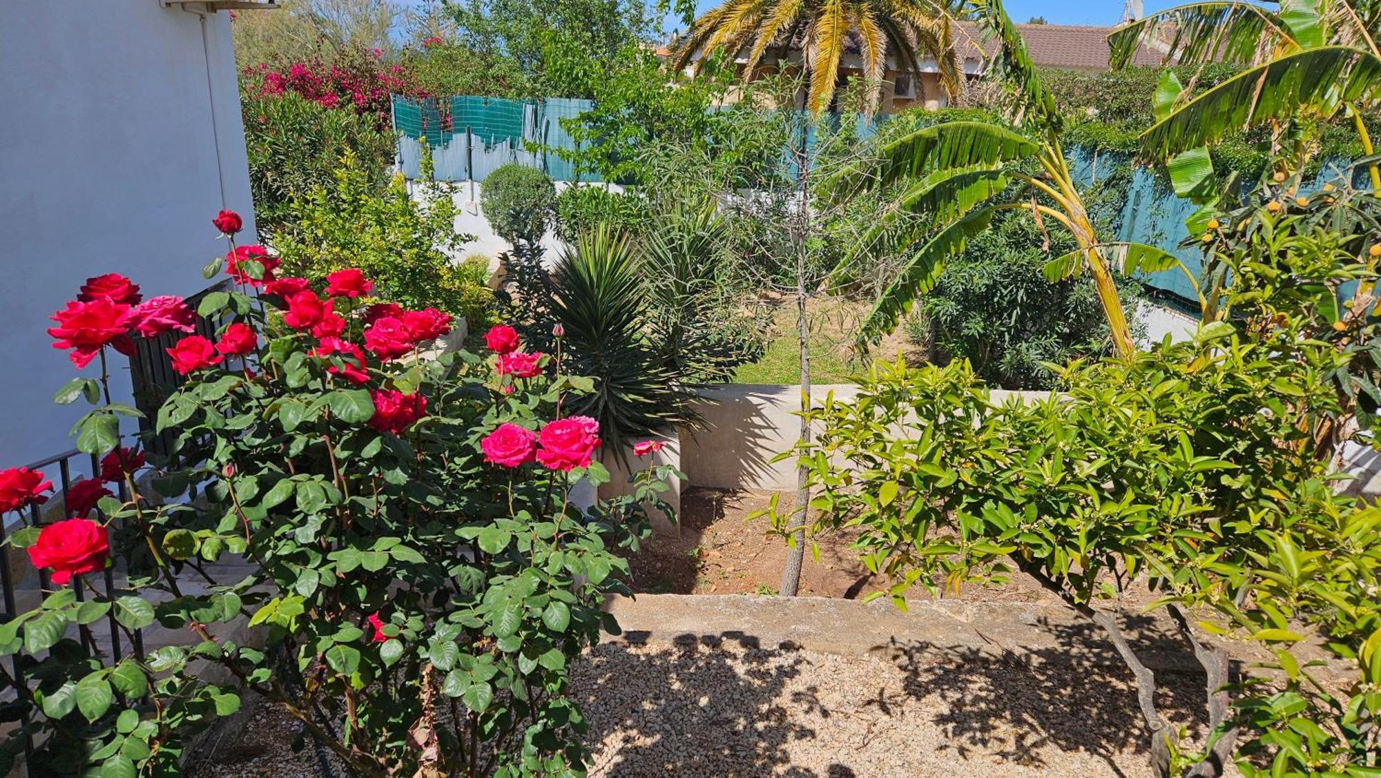 Villa Altomira Dénia Exterior foto